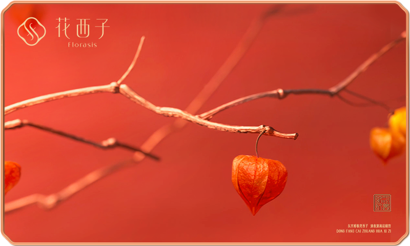 Gift Card CNY
